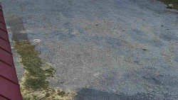 Nástup na běžecké tratě