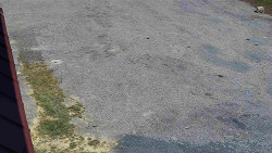 Nástup na běžecké tratě