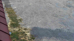 Nástup na běžecké tratě