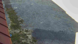 Nástup na běžecké tratě