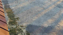 Nástup na běžecké tratě