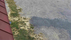 Nástup na běžecké tratě