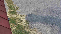 Nástup na běžecké tratě