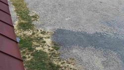 Nástup na běžecké tratě