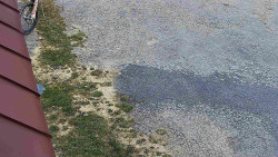 Nástup na běžecké tratě