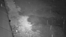 Nástup na běžecké tratě