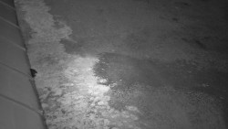 Nástup na běžecké tratě