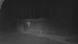 Nástup na běžecké tratě