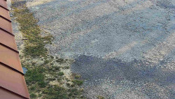 Nástup na běžecké tratě