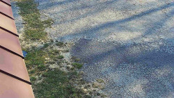 Nástup na běžecké tratě