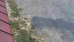 Nástup na běžecké tratě