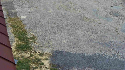 Nástup na běžecké tratě