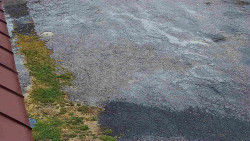 Nástup na běžecké tratě