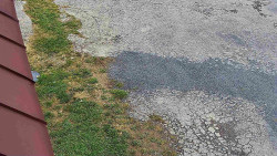 Nástup na běžecké tratě