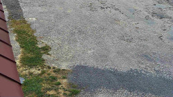 Nástup na běžecké tratě