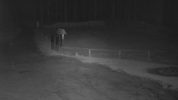 Nástup na běžecké tratě