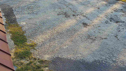 Nástup na běžecké tratě