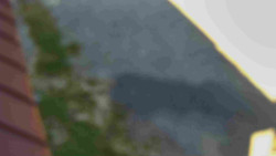 Nástup na běžecké tratě