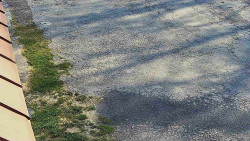 Nástup na běžecké tratě