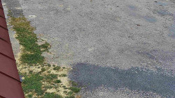 Nástup na běžecké tratě