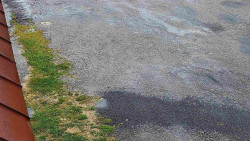 Nástup na běžecké tratě