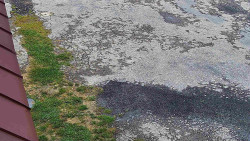 Nástup na běžecké tratě