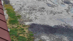 Nástup na běžecké tratě