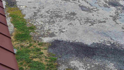 Nástup na běžecké tratě