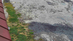 Nástup na běžecké tratě