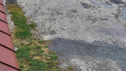 Nástup na běžecké tratě