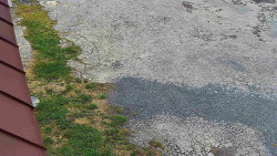 Nástup na běžecké tratě