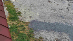 Nástup na běžecké tratě