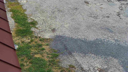 Nástup na běžecké tratě