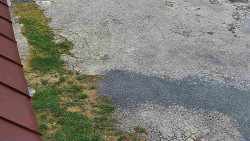 Nástup na běžecké tratě