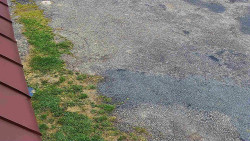 Nástup na běžecké tratě