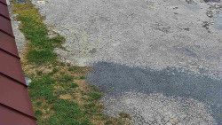 Nástup na běžecké tratě