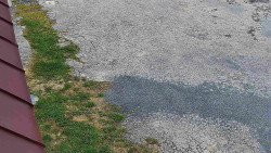 Nástup na běžecké tratě