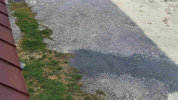 Nástup na běžecké tratě