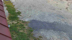 Nástup na běžecké tratě