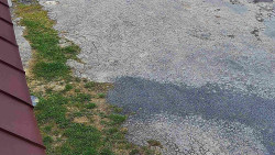 Nástup na běžecké tratě