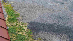 Nástup na běžecké tratě