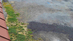 Nástup na běžecké tratě