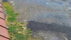 Nástup na běžecké tratě