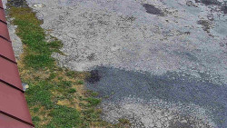 Nástup na běžecké tratě