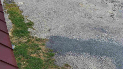 Nástup na běžecké tratě