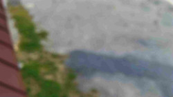 Nástup na běžecké tratě