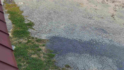 Nástup na běžecké tratě