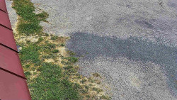 Nástup na běžecké tratě