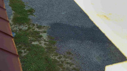 Nástup na běžecké tratě