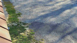 Nástup na běžecké tratě